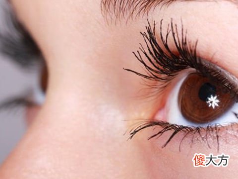 梦见假睫毛