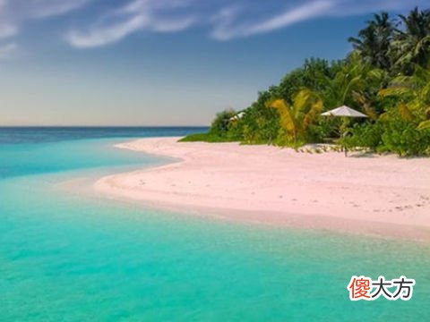 梦见美丽的风景