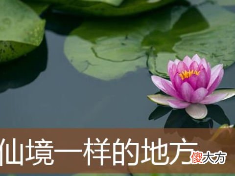 梦见像仙境一样的景色