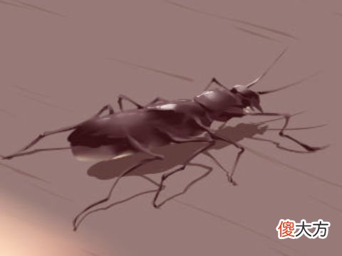 梦见头上掉下好多虫子
