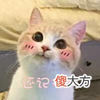 【游戏迷】童年游戏回忆录,老游戏你还记几分?