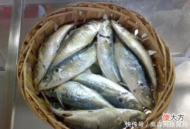 【历史故事】刘伯温临终前给朱元璋送一筐鱼，为何朱在17年后，才恍然大悟？