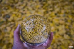 【十二星座】「Bumble」又去做星座了，星座+社交到底是不是一个伪命题？