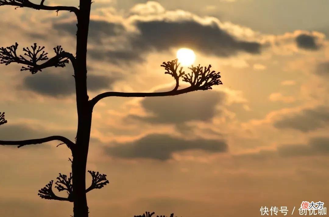 【星座控】犹如毒药的3个生肖,2022下半年,贵人青睐,工作顺利,事业有成