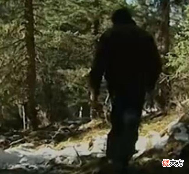大兴安岭活捉野人事件，竟发现森林里的独立文明，传说生物被活捉