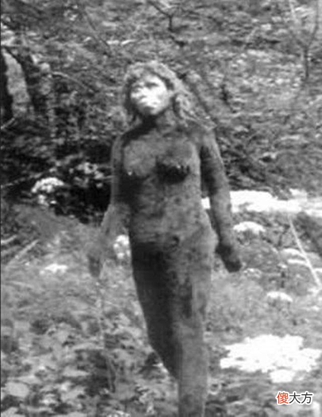 大兴安岭活捉野人事件，竟发现森林里的独立文明，传说生物被活捉