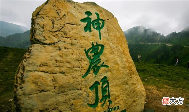 “猴娃”曾繁胜：曾被认为是野人后代，专家对其尸检后有何发现？