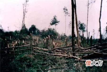 1994年贵阳出现“时间停滞”和“龙爪印”事件，科学解释难以信服