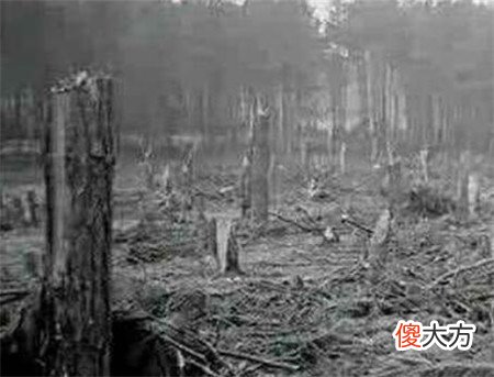 1994年贵阳出现“时间停滞”和“龙爪印”事件，科学解释难以信服