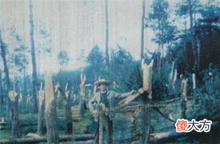 1994年贵阳出现“时间停滞”和“龙爪印”事件，科学解释难以信服