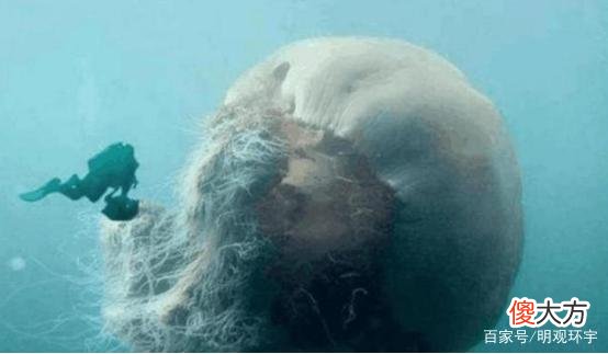 揭秘：深海真的是“生命禁区”吗？也许龙就在深海“龙宫”里