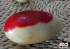 农民上山挖笋，发现2个“带血鸡蛋”，专家鉴定后直接叫价80万