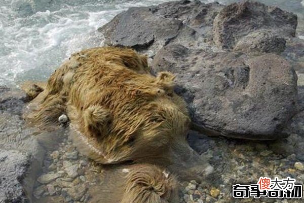 世界八大禁地 最神秘百慕大只排第五 中国仅一处上榜