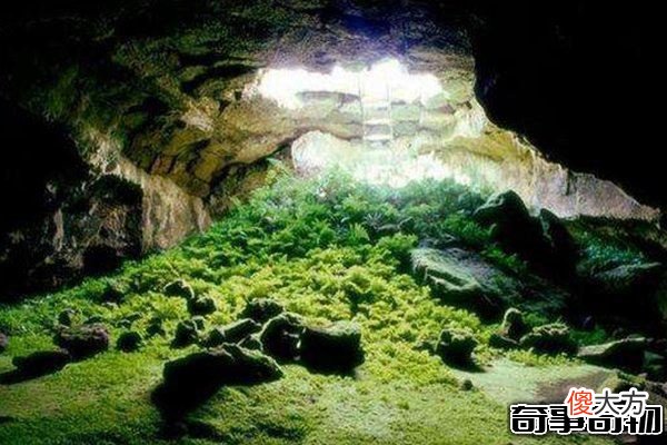 世界八大禁地 最神秘百慕大只排第五 中国仅一处上榜