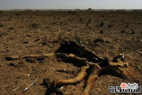 世界八大禁地 最神秘百慕大只排第五 中国仅一处上榜
