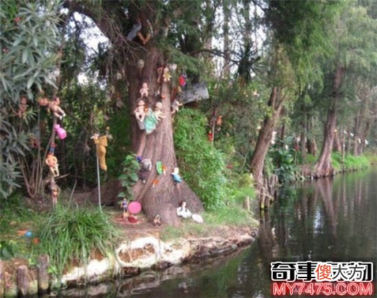 墨西哥娃娃岛人偶千奇百态 来岛上的人都因为好奇心