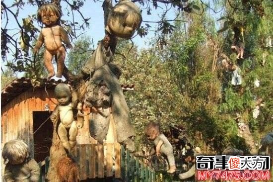 墨西哥娃娃岛人偶千奇百态 来岛上的人都因为好奇心