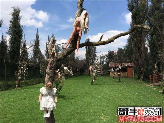 墨西哥娃娃岛人偶千奇百态 来岛上的人都因为好奇心