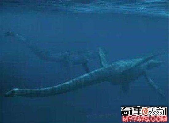 青海湖水怪曾多次出现 目击者表示身上长鳞片