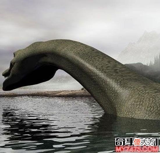 青海湖水怪曾多次出现 目击者表示身上长鳞片