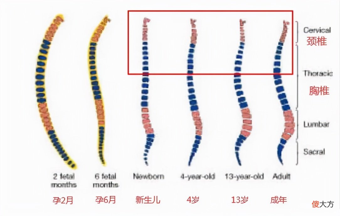 “妈妈，我得睡枕头了”，宝宝有这4种表现，说明该用枕头了