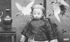 【历史故事】溥仪只是初中文化水平吗？他的文化水平高到令人吃惊