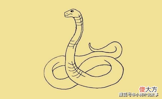 【爱历史】民间故事：张老汉与白袍老者