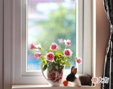 梦见粉色气球