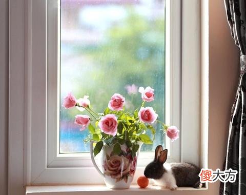 梦见粉色气球