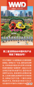 【时尚一点】深度｜第二届消博会向中国时尚产业释放了哪些信号？
