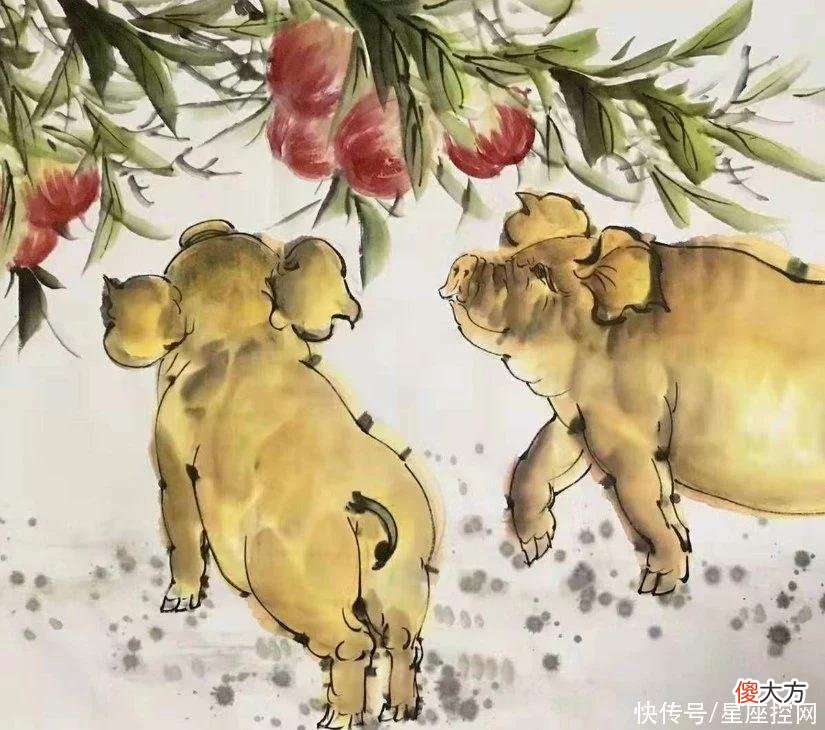 【十二星座】生肖猪从几月起，啥运势都变好，犹如金猪，吃穿不愁