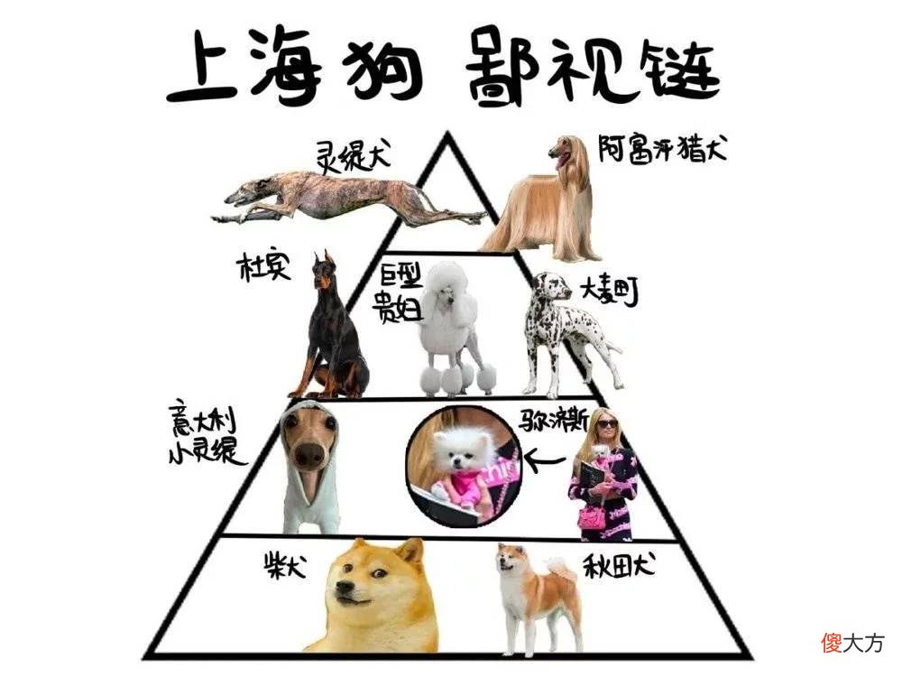【时尚一点】上海衡量成功的最高标准：在安福路被街拍
