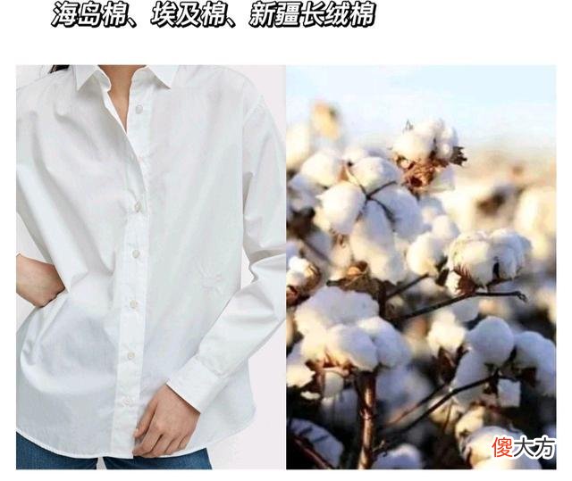【就爱时尚】夏季没人可以拒绝冷淡风穿搭！视觉上足够“清凉”，气质还很高级