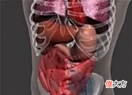 老人五脏六腑凭空消失，毫无异样活了50年，检查后医生直摇头