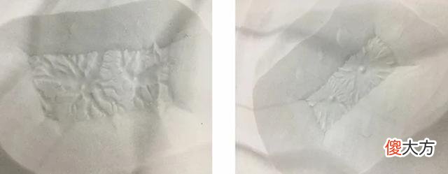 火星人真存在？探测器发现火星“蜘蛛”大迁徙，二十年后谜题得解