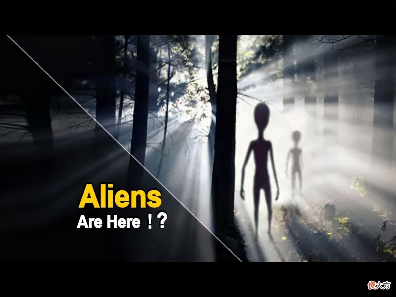 科学家揭秘外星人的真实长相！以色列高官称：特朗普曾差点说漏嘴 进化论普适宇宙？和人类长一样？ 外星人的长相都YY出来了，他们到底在哪里? h