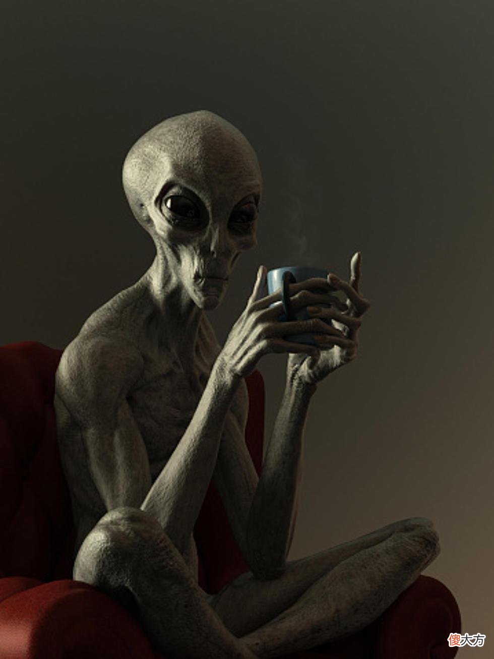 科学家揭秘外星人的真实长相！以色列高官称：特朗普曾差点说漏嘴 进化论普适宇宙？和人类长一样？ 外星人的长相都YY出来了，他们到底在哪里? h