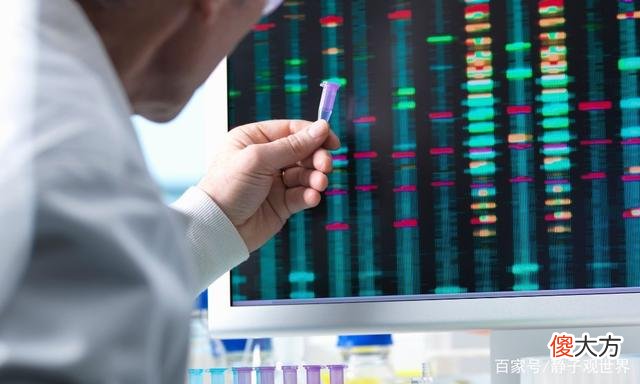 哈佛大学的DNA发现可能改变人类的未来