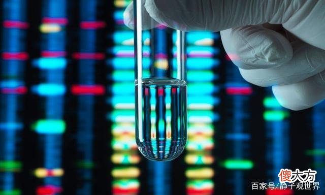哈佛大学的DNA发现可能改变人类的未来