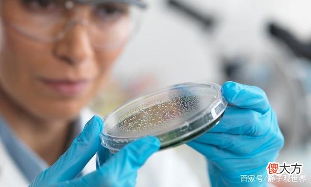 哈佛大学的DNA发现可能改变人类的未来