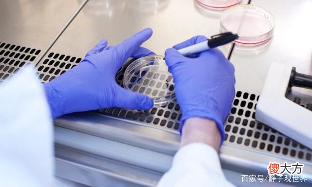 哈佛大学的DNA发现可能改变人类的未来