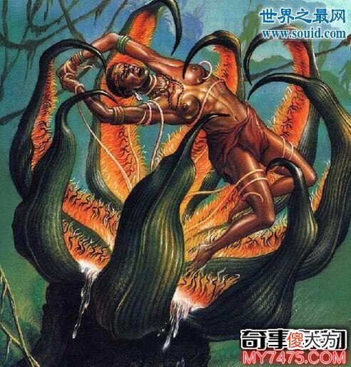 吃人植物食人柳 柳枝将猎物活活勒死并消化