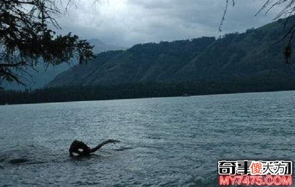 新疆喀纳斯湖水怪是否真的存在 或巨型哲罗鲑