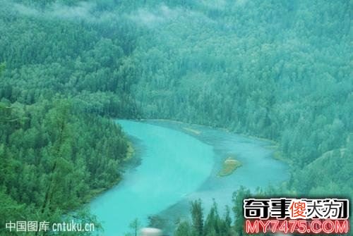 新疆喀纳斯湖水怪是否真的存在 或巨型哲罗鲑