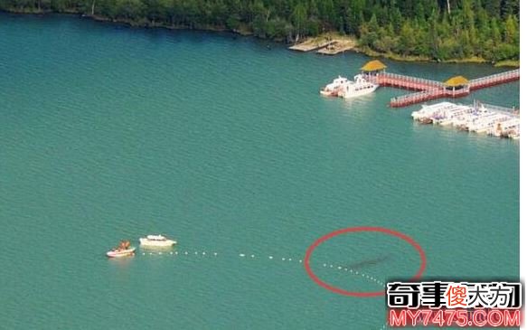 新疆喀纳斯湖水怪是否真的存在 或巨型哲罗鲑