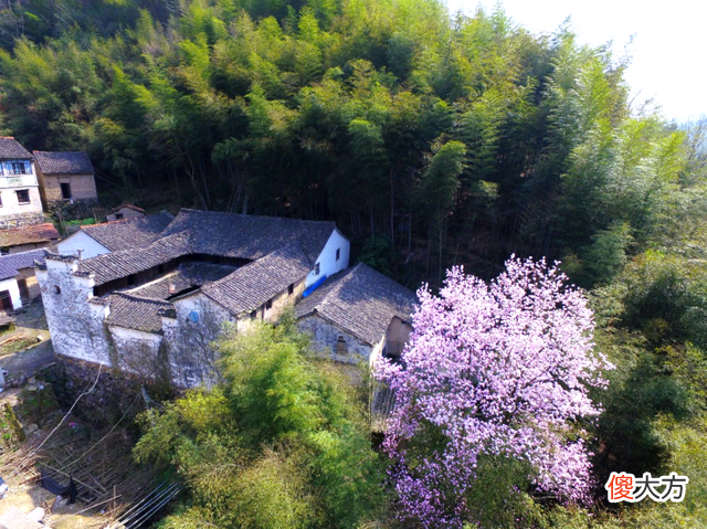 【爱历史】晚潮｜用图文留住家乡记忆