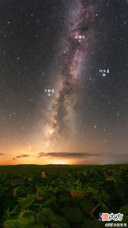 【十二星座】七夕，一起看星星
