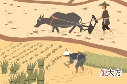 2019年10月11号属猪出生日的命运解析(图文)
