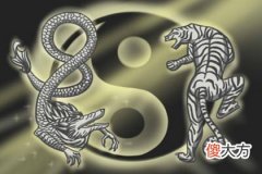 2019年9月22号属猪出生日的命运解析(图文)