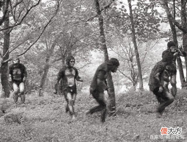 141年前，“野人女孩”被抓走供人观赏，死前说了一句话充满心酸